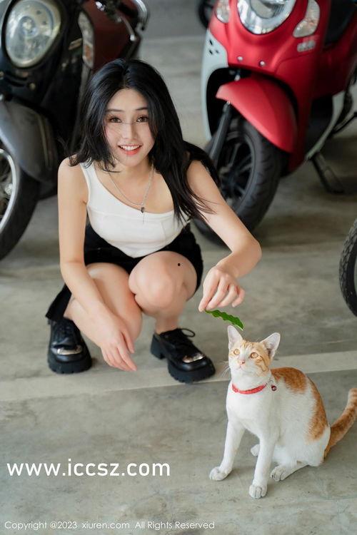 国产在视频线精品视频,引领视听新潮流